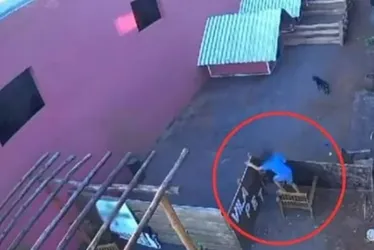 
				Criança que massacrou 23 animais disse que não foi a primeira vez
			
			