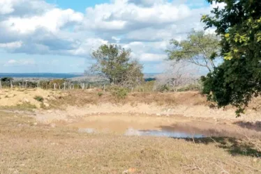 
			
				Semarh alerta que seca vai evoluir de moderada para severa em AL
			
			
