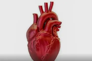 
			
				Doenças cardiovasculares matam 400 mil brasileiros por ano
			
			