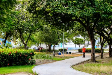 
			
				Estação das flores chega com mudanças climáticas que impactam na saúde mental e física
			
			