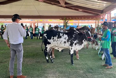 
			
				Expoagro-AL recebe mais de 10 mil visitantes no primeiro fim de semana
			
			