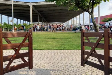 
			
				Expoagro Alagoas chega à 74ª edição como maior evento agropecuário do Nordeste
			
			