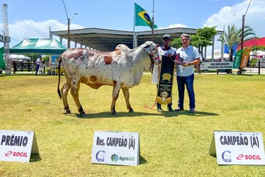 
			
				Expoagro Alagoas: confira a programação do fim de semana no Parque da Pecuária
			
			