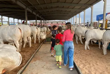 
			
				'Expoagro estará no centro do agronegócio brasileiro', diz presidente da Agreste Leilões
			
			