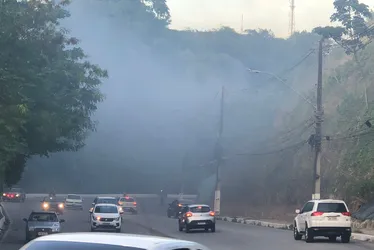 
			
				Fogo atinge vegetação e dificulta visibilidade na Ladeira Geraldo Melo
			
			