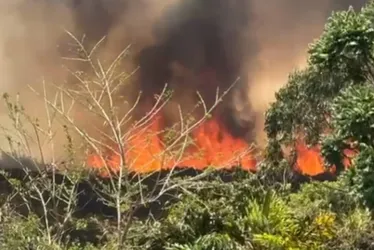 
			
				Grande incêndio atinge mata próxima ao Aeroporto JK. Vídeo
			
			