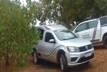 
			
				Homem morre atingido por tora de madeira enquanto trabalhava
			
			