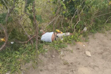 
			
				Homem que dormia em plantação de macaxeira é confundido com cadáver em Arapiraca
			
			