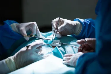 
			
				Hospitais filantrópicos fazem 61% das internações de alta complexidade no país
			
			