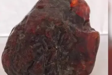 
			
				Idosa usa pedra preciosa de R$ 6 milhões como batente de porta: veja!
			
			