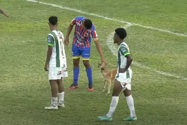 
			
				Igaci empata com o Guarany e se classifica para a final da 2ª Divisão do Alagoano
			
			