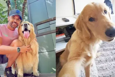 
			
				Justiça de SP arquiva inquérito que investigava morte do cachorro Joca
			
			