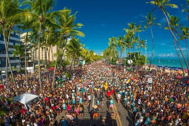 
			
				Liga Carnavalesca de Maceió anuncia data de lançamento das prévias; veja!
			
			