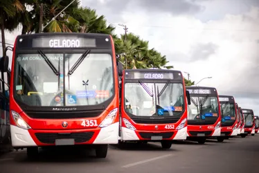 
			
				Linhas de ônibus serão reforçadas nos dias de Enem
			
			
