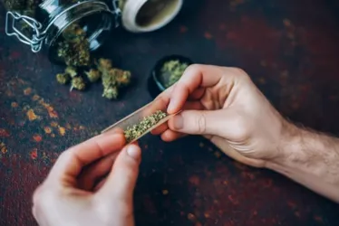 
			
				Maconha está associada a mudanças na estrutura cerebral, sugere estudo
			
			