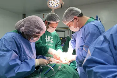 
			
				Mais cinco pessoas terão as vidas salvas após 10ª captação de órgãos no HGE
			
			