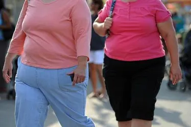
			
				Mais de 20% da população de Alagoas está obesa, aponta pesquisa
			
			