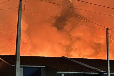 
			
				Morador filma fogo em canavial próximo a residências e relata tensão: ‘Faíscas caindo nas casas’
			
			