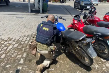 
			
				Motocicleta estacionada há 15 dias é apreendida por queixa de roubo em Canapi
			
			