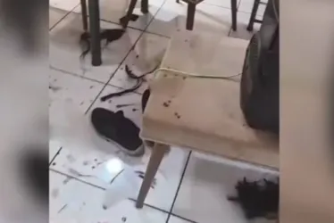 
			
				Mulher é agredida e tem cabelo cortado pelo ex-marido
			
			