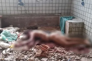 
				Suspeito de matar mulher em imóvel abandonado em Guaxuma se apresenta à polícia
			
			