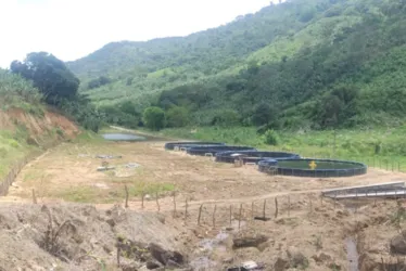 
			
				Operação Mata Atlântica termina com 800 hectares embargados em AL e R$ 6 milhões em multas
			
			