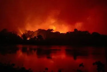 
			
				Parque Indígena Xingu que registrou paredão de fogo tem mais de 34 mil hectares queimados
			
			