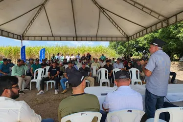 
			
				Pindorama promove dia de campo para colheita de arroz em lote experimental
			
			