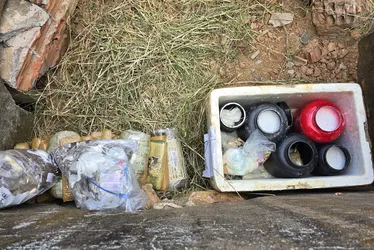 
			
				Polícia Civil incinera 76 kg de drogas avaliadas em R$ 300 mil
			
			