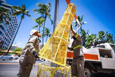 
			
				Prefeitura inicia instalação da decoração natalina na orla de Maceió; veja!
			
			