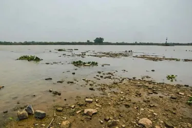 
			
				Rio Paraguai registra mínima histórica em ano mais seco no Pantanal
			
			