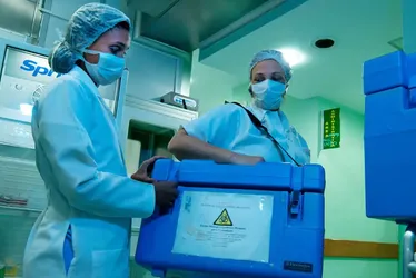 
			
				Secretaria de Saúde reavalia amostras de 288 doadores de órgãos
			
			