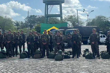 
			
				Tropas federais reforçam segurança em 15 municípios do interior de AL
			
			