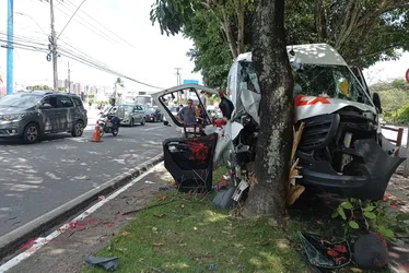 
			
				Van que transportava extrato de tomate colide contra árvore em ciclovia
			
			
