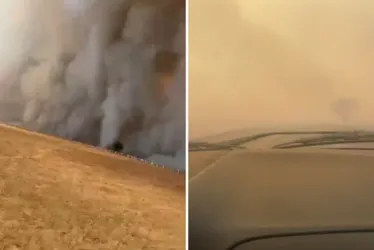 
			
				Vídeo mostra gado quase sendo engolido por incêndio em fazenda
			
			