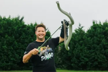 
			
				Youtuber de vida selvagem morre após picada de cobra; conheça Dingo Dinkelman
			
			