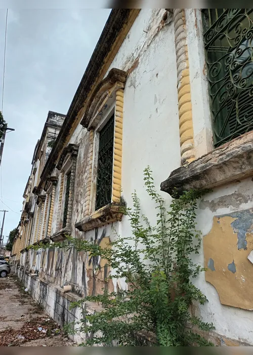 
				
					Falta de estrutura ameaça futuro do Museu de História Natural de AL
				
				