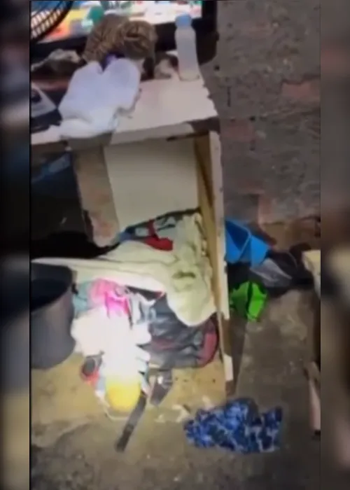 
				Lixo, falta de higiene e fezes no chão: veja como era barraco onde crianças foram abandonadas pela mãe
			
			
