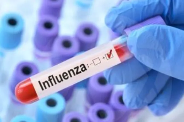 
				
					Casos de influenza B apresentam alta atípica para a estação
				
				