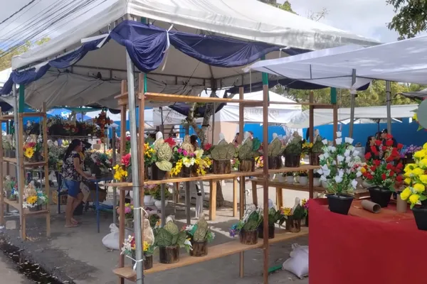 
				
					Cemitérios de Maceió e Arapiraca ficam lotados neste feriado de finados
				
				