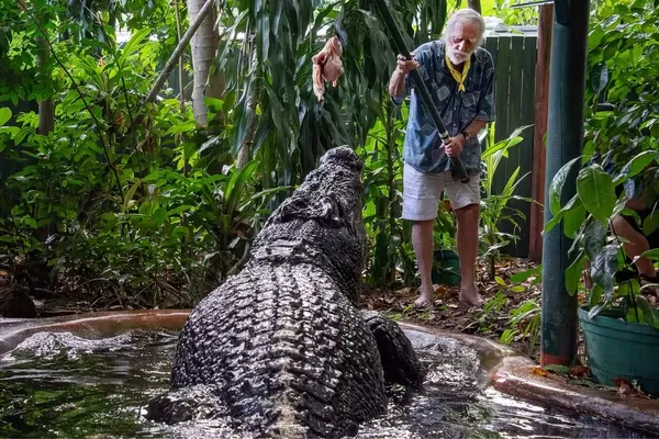 
				
					Maior crocodilo em cativeiro do mundo morre na Austrália
				
				