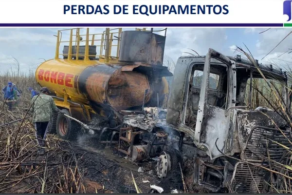 
				
					Prejuízo de R$ 1 bi para o agro no país, incêndios viram ameaça em AL
				
				