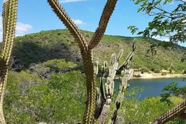 
				
					Semarh emite alerta de baixa umidade para o Sertão e Agreste de Alagoas
				
				