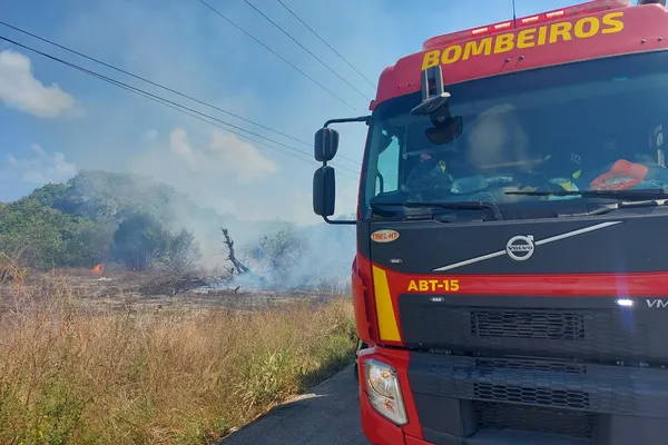 
				
					Vídeo: incêndio em vegetação interdita trecho da AL-101
				
				