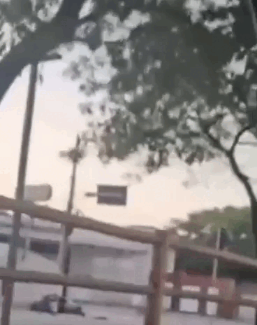 Geladeira é deixada em cima de árvore na ciclovia da Fernandes Lima, e ALURB investiga descarte