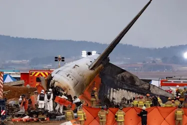 
			
				Avião que caiu na Coreia do Sul recebeu alerta de colisão com pássaros
			
			
