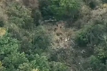 
			
				Bombeiros divulgam imagens de drones usados em resgate na Serra da Barriga
			
			