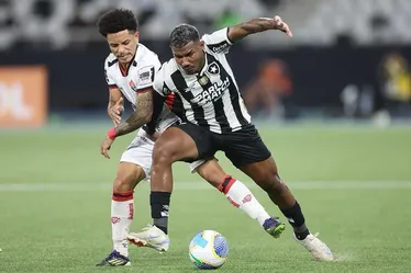 
			
				Botafogo tropeça, Palmeiras vence e assume a liderança do Brasileirão
			
			