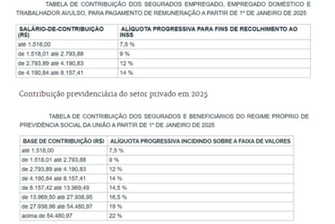 
			
				Governo divulga novas faixas de contribuio previdenciria; confira!
			
			