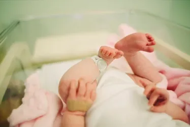 
			
				“Helena” lidera nomes mais registrados no Brasil em 2024; veja lista
			
			